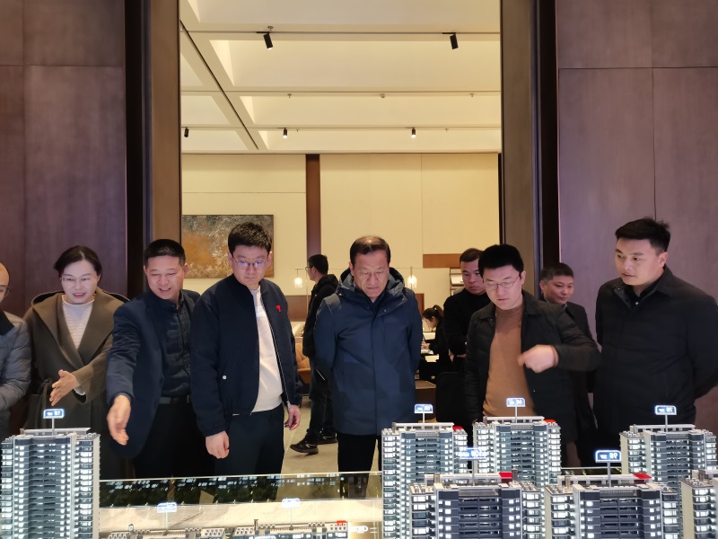 李彪集中調研在鹽項目運營情況